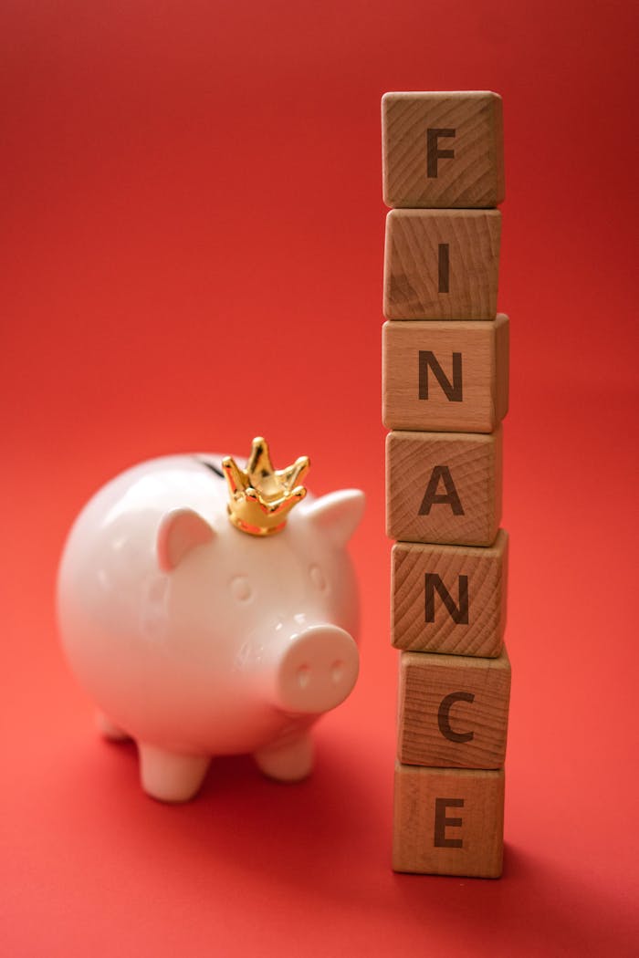 A piggy bank wearing a crown sits beside wooden blocks spelling FINANCE on a red backdrop.